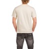 HEAVY COTTON ADULT TSHIRT